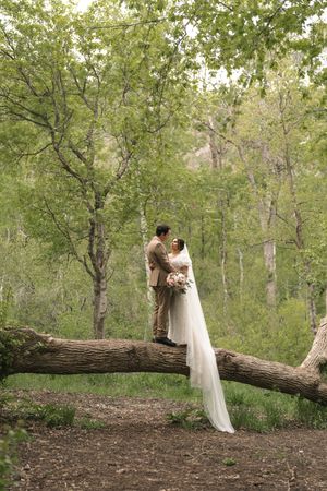 Four sequential outdoor wedding photos showing a couple in posed moments by a fallen tree in a lush forest setting.