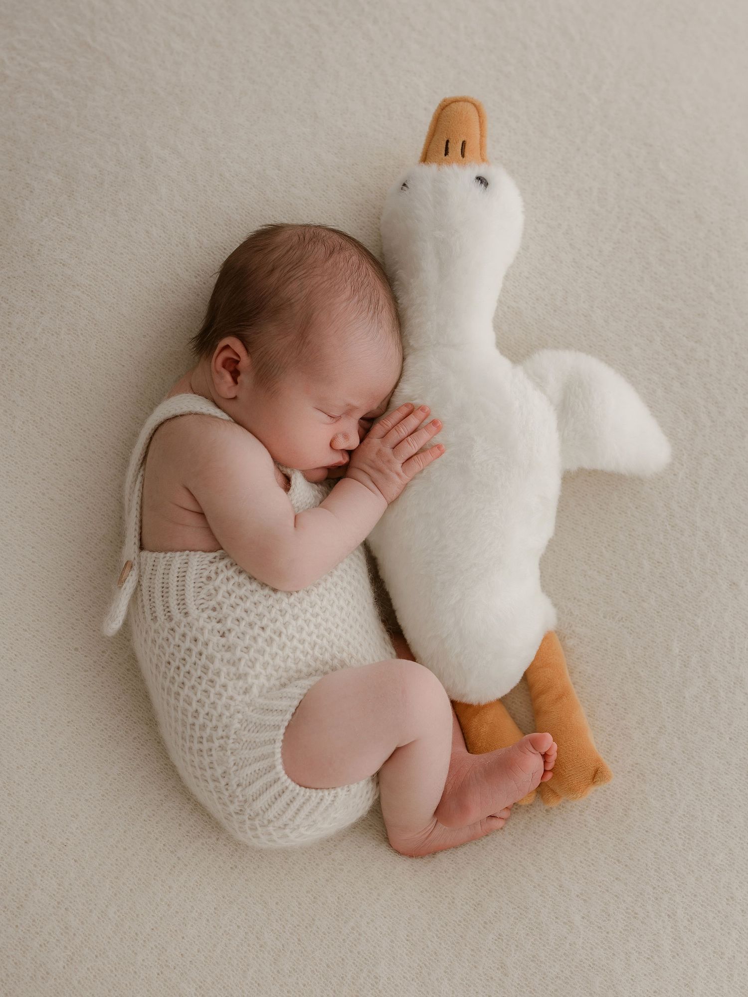 Sleeping newborn in white knit wrap cuddling with plush duck toy on neutral backdrop.
