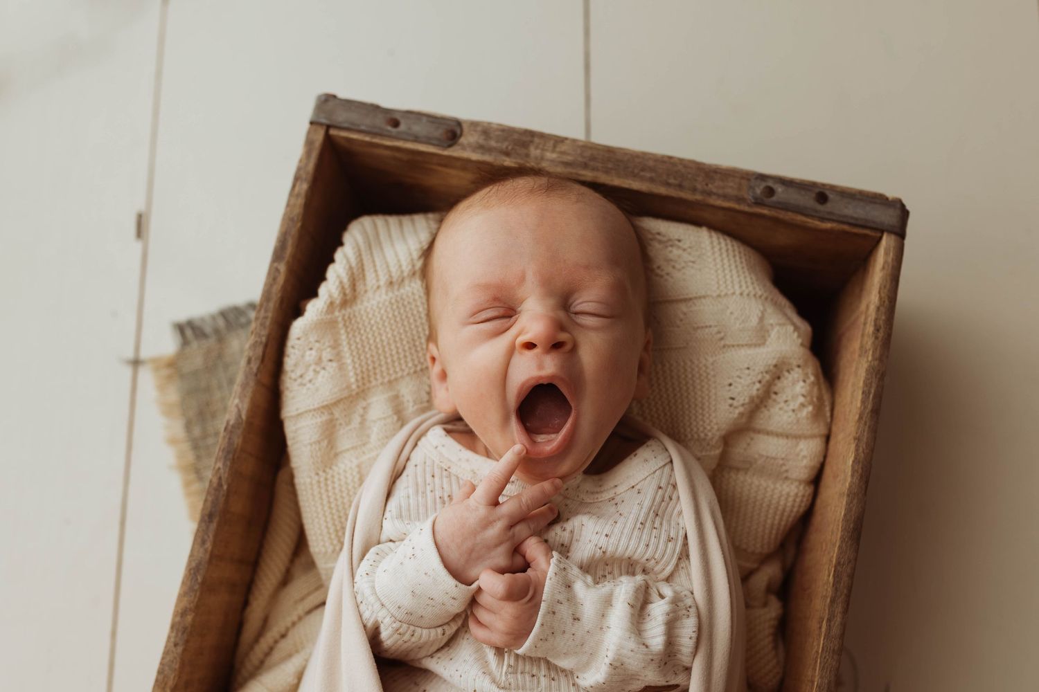 Newborn studio portrait taken by Elle & Co. Photography in Southeast Michigan