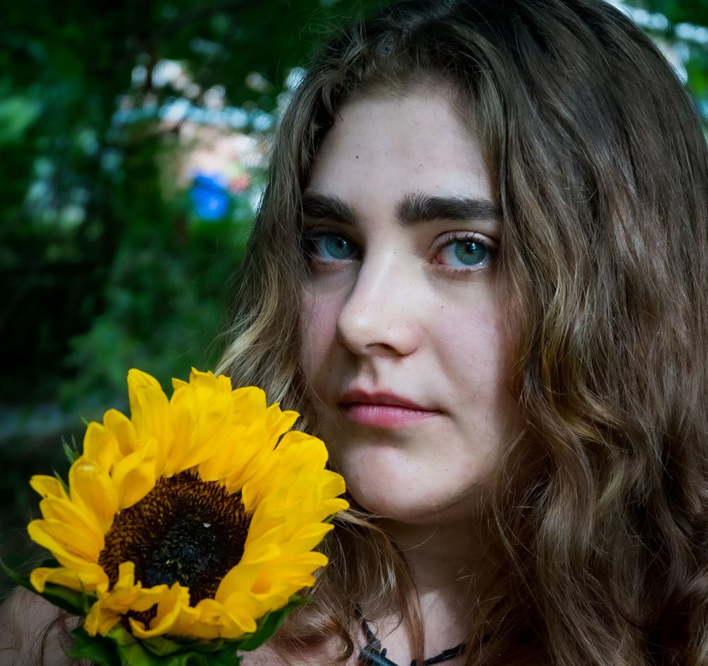 A portrait sequence with sunflowers showing close-up views in natural outdoor lighting and garden scenery.