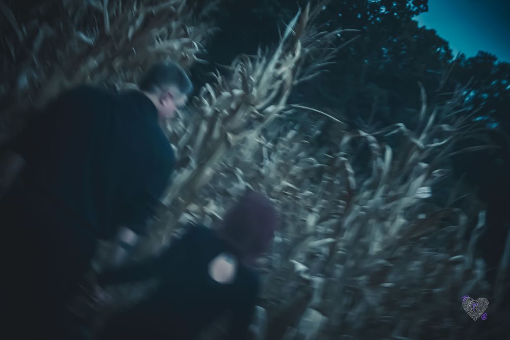Two people walking through a dark, eerie cornfield at night with dried stalks surrounding them.