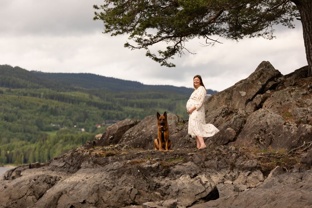 Person in white dress sits on rocky cliff overlooking valley with dog nearby.