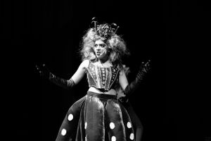 Canberra event photographer. School  Concert