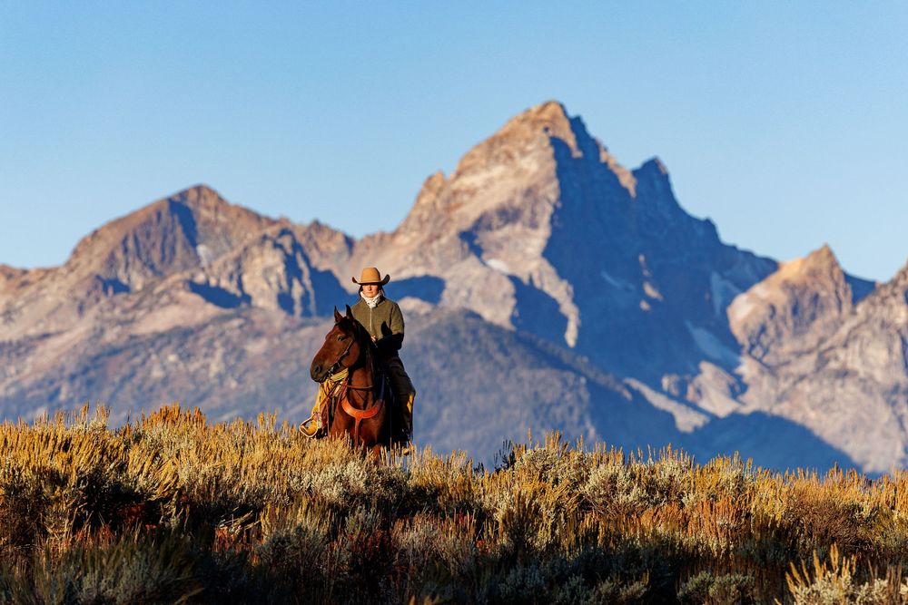 A herd of elk grazing on a hillside with majestic mountain peaks rising in the background during golden hour.