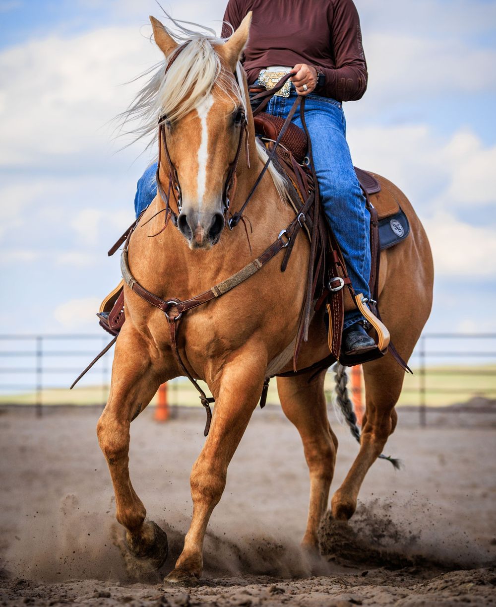Horse and rider performing barrel racing maneuvers in arena.