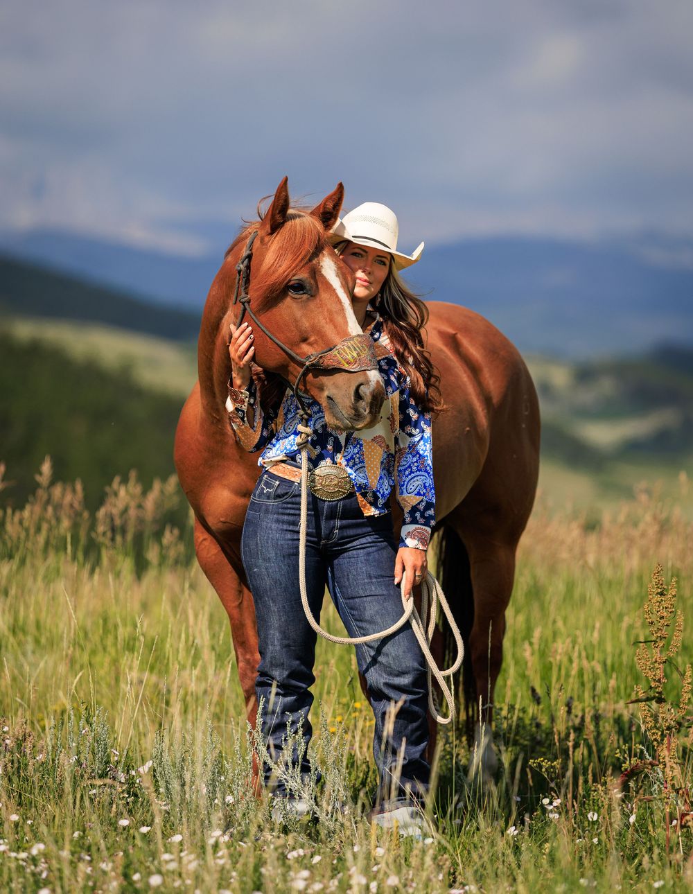 Quarter horse with blue halter standing in mountain meadow with handler.