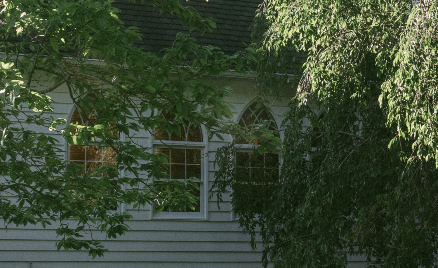 White house with traditional architecture partially hidden behind lush green trees. Biltmore Estate wedding photographer