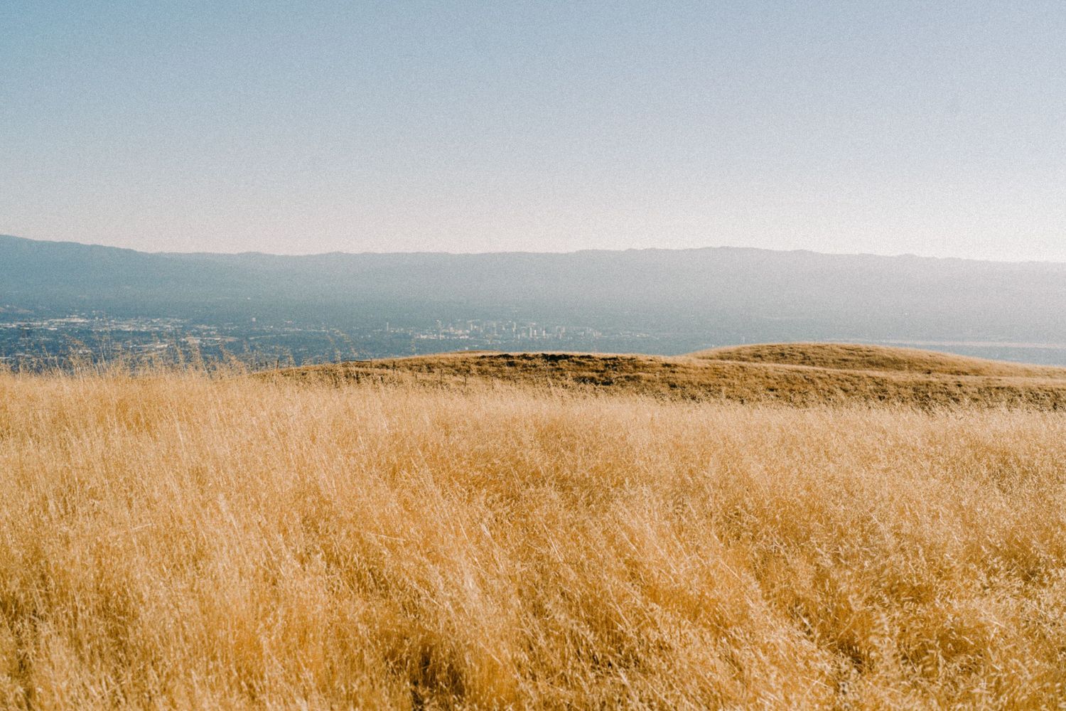 Rolling golden hills stretching to distant mountains under a clear blue sky.