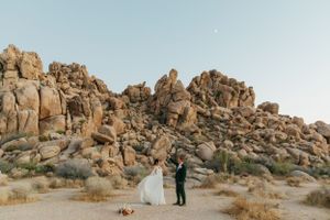 A wedding couple stands among large rocky formations in Joshua Tree National Park.