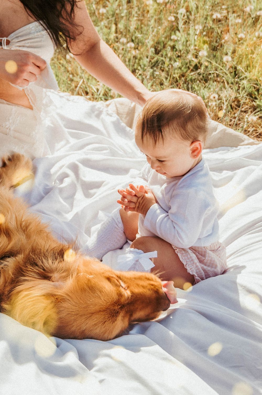 Baby in white clothing playing near a golden retriever on a picnic blanket.