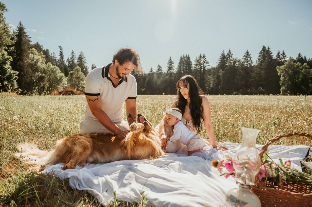 Family picnic scene in a meadow with evergreen trees in background.
