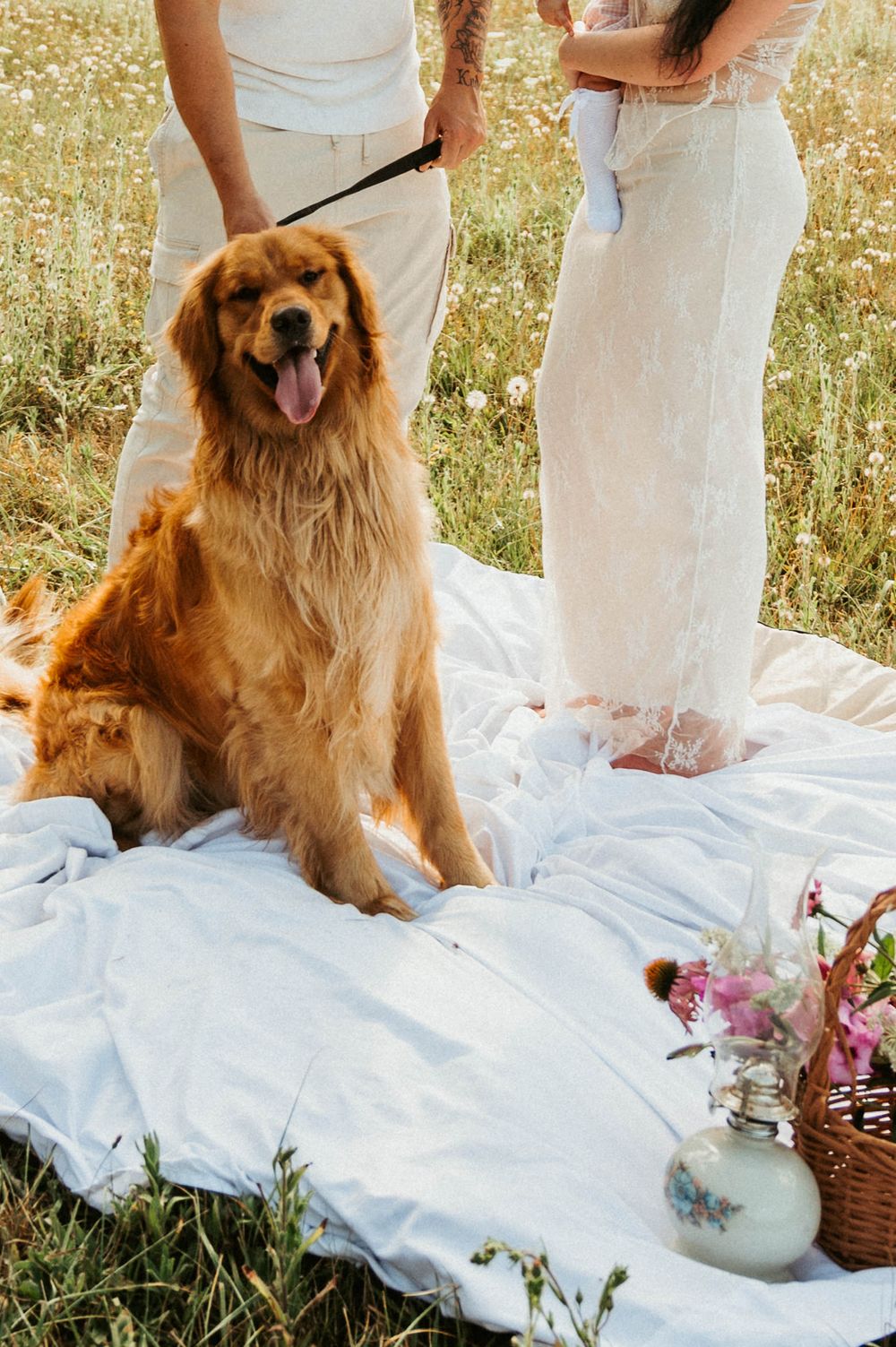 Smiling golden retriever sitting on white blanket with picnic basket in wildflower field.