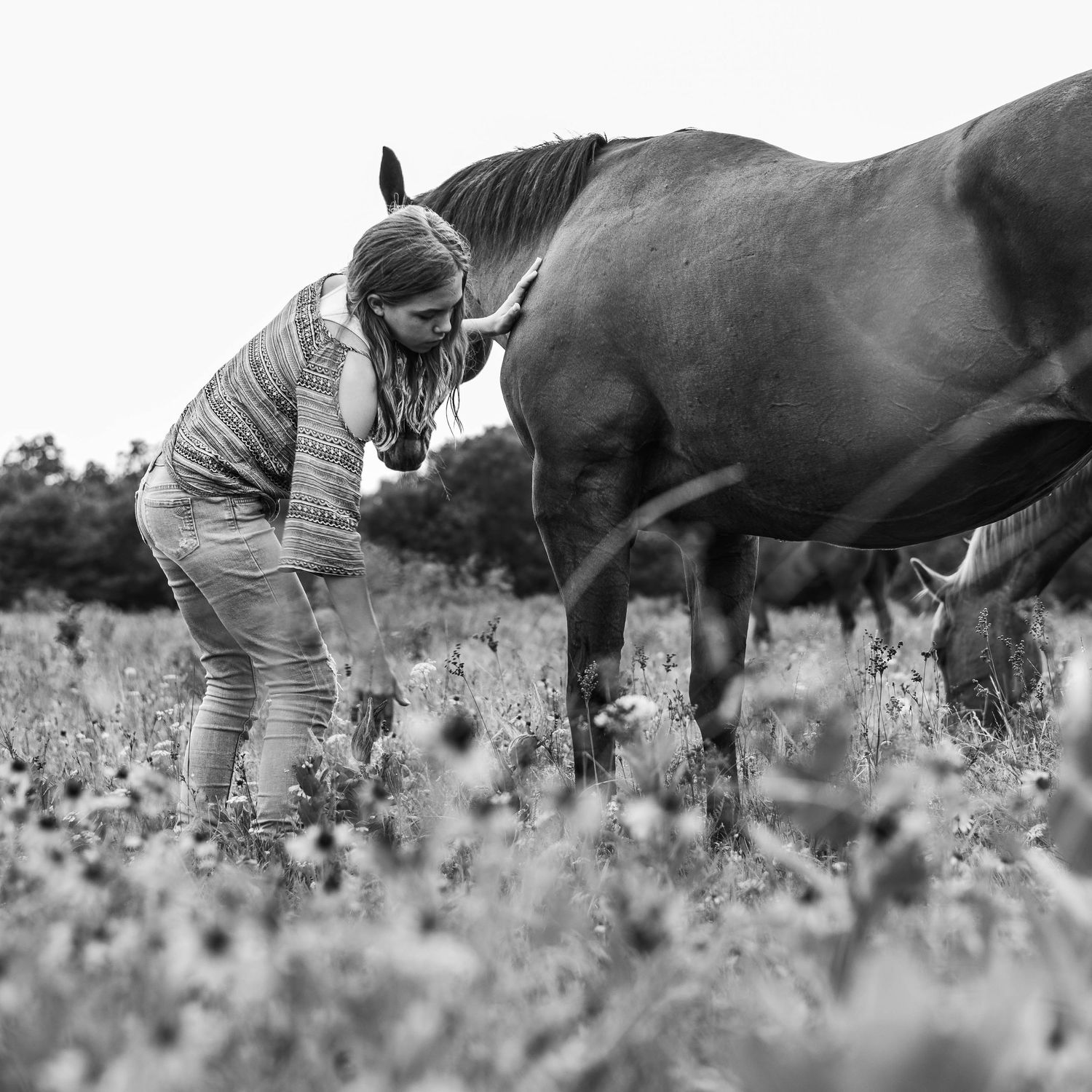 A horse and person share a tender moment at sunset in a meadow of wildflowers.