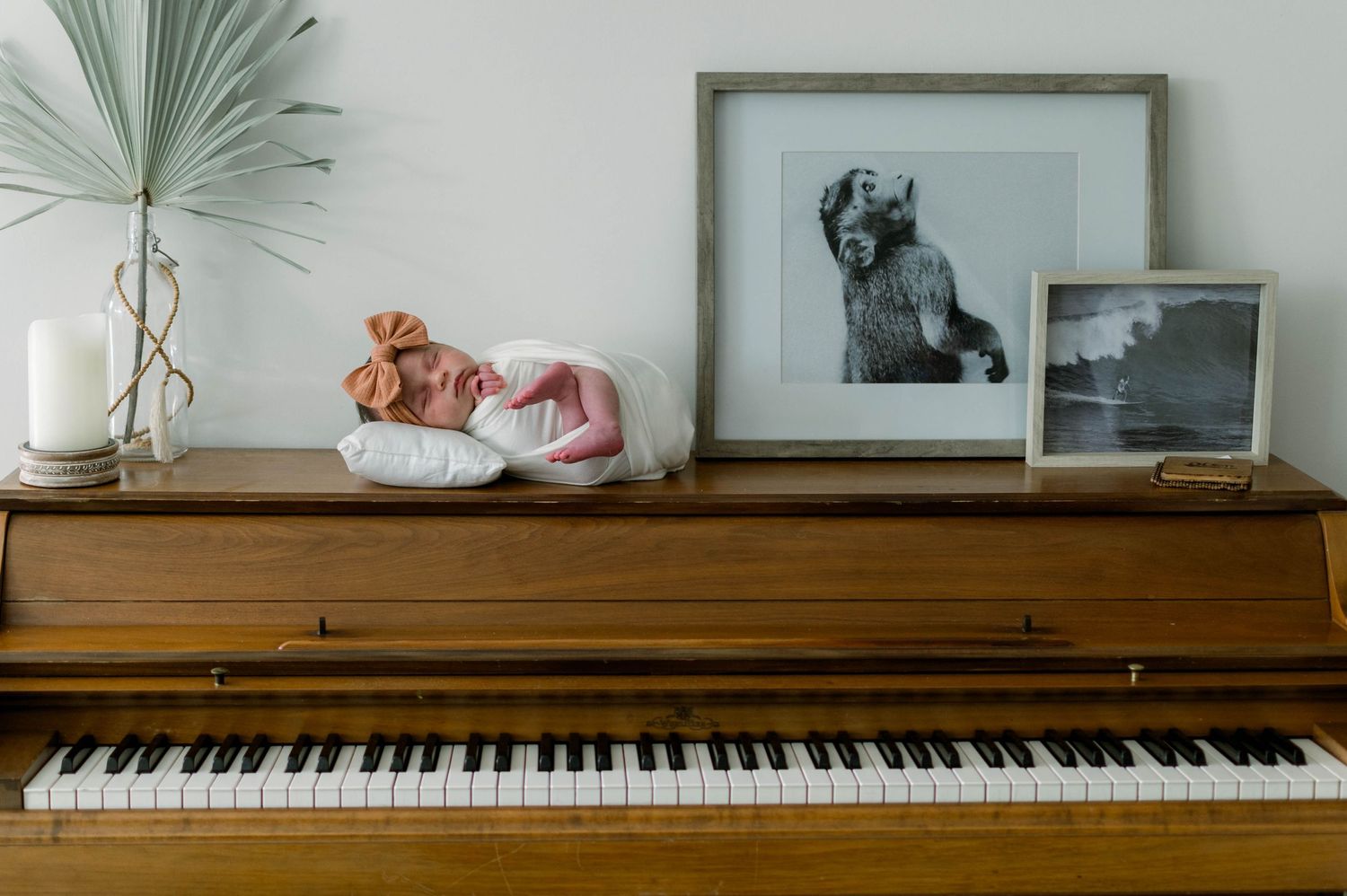 Upright piano with framed dog photos and decorative palm leaf on display.