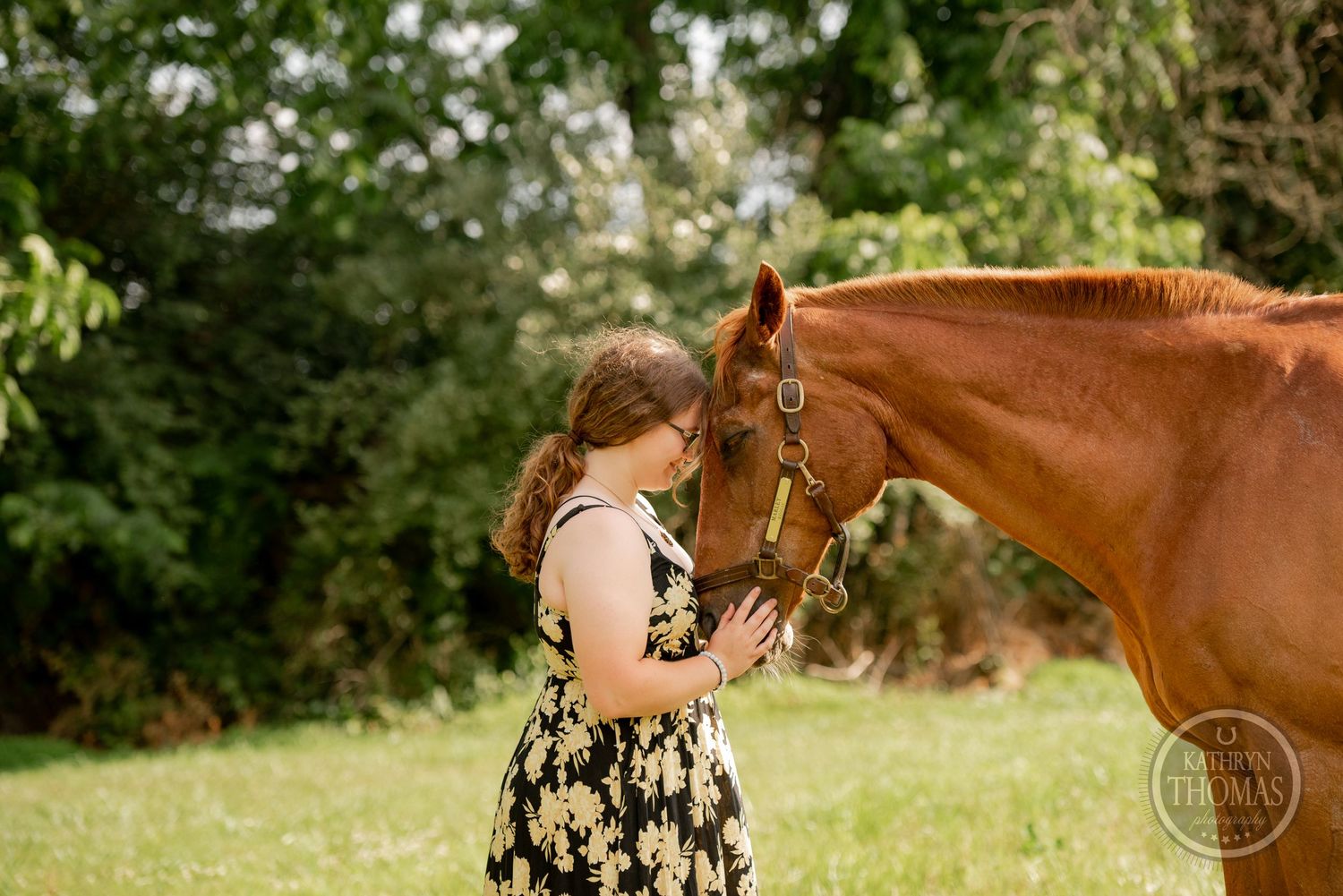 A chestnut horse receives affection from its handler in a summer field.