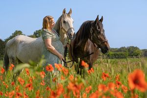 Fotoshoot zwangerschap met eigen paarden er bij in een weiland met bloemen. Zwangerschapsfotograaf regio Den Bosch, Eindhoven en Nijmegen.