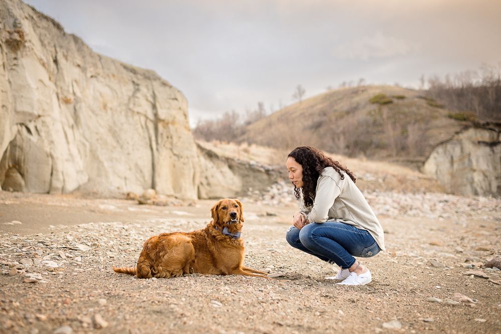 A golden retriever dog resting on rocky ground while someone crouches nearby.