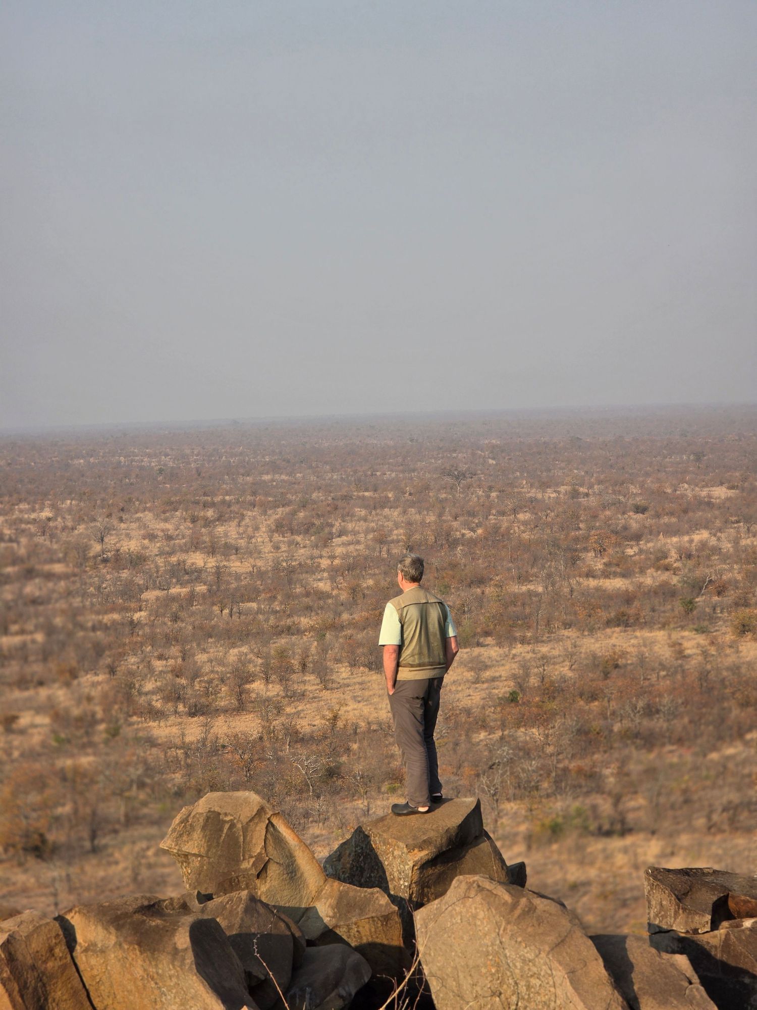 An expansive view across the savanna