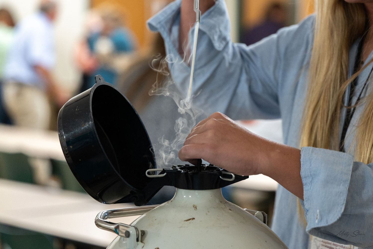 A person carefully transfers something from a semen tank.