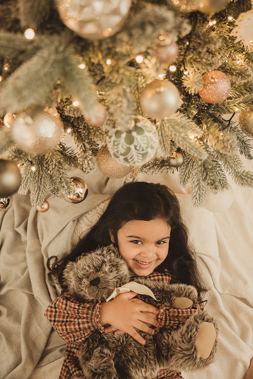 A festive Christmas portrait with a cat under a decorated tree with sparkling lights and ornaments.