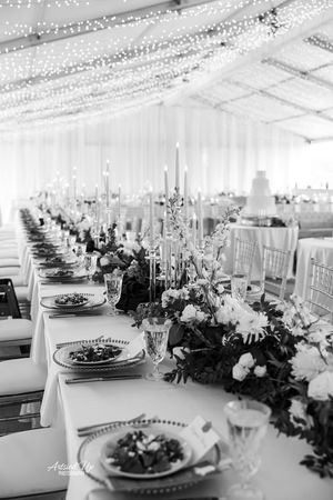 Wedding Photographer, Equine Event, Second Shooter in East Tennessee, TN, near Chattanooga, TN and North GA area. Hunter Museum