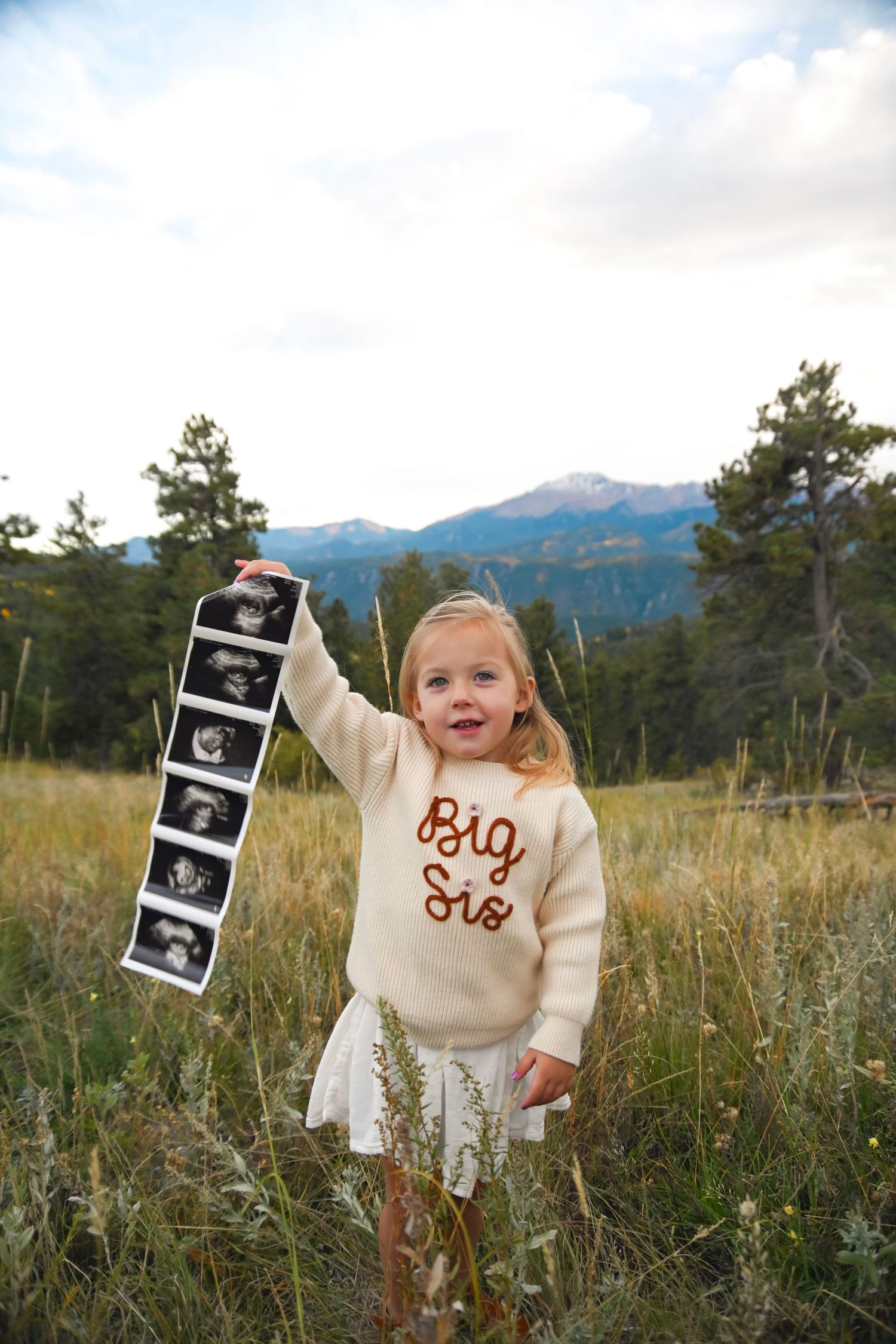 A toddler girl in a Big Sis sweater holds ultrasound photos in a mountain meadow, announcing a pregnancy.