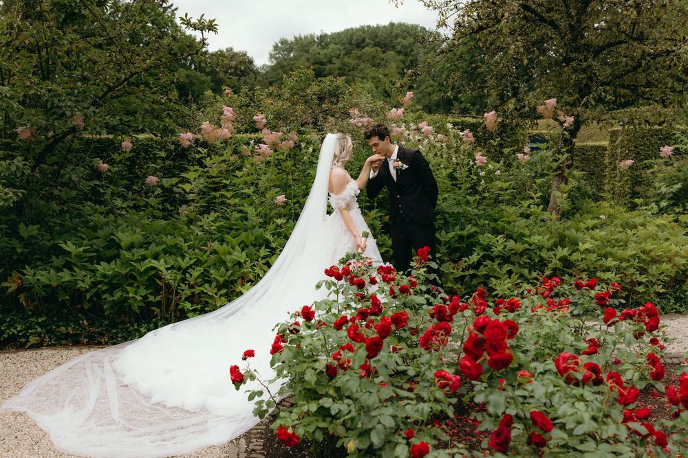 Wedding scene in a garden with blooming red roses and flowing white dress.