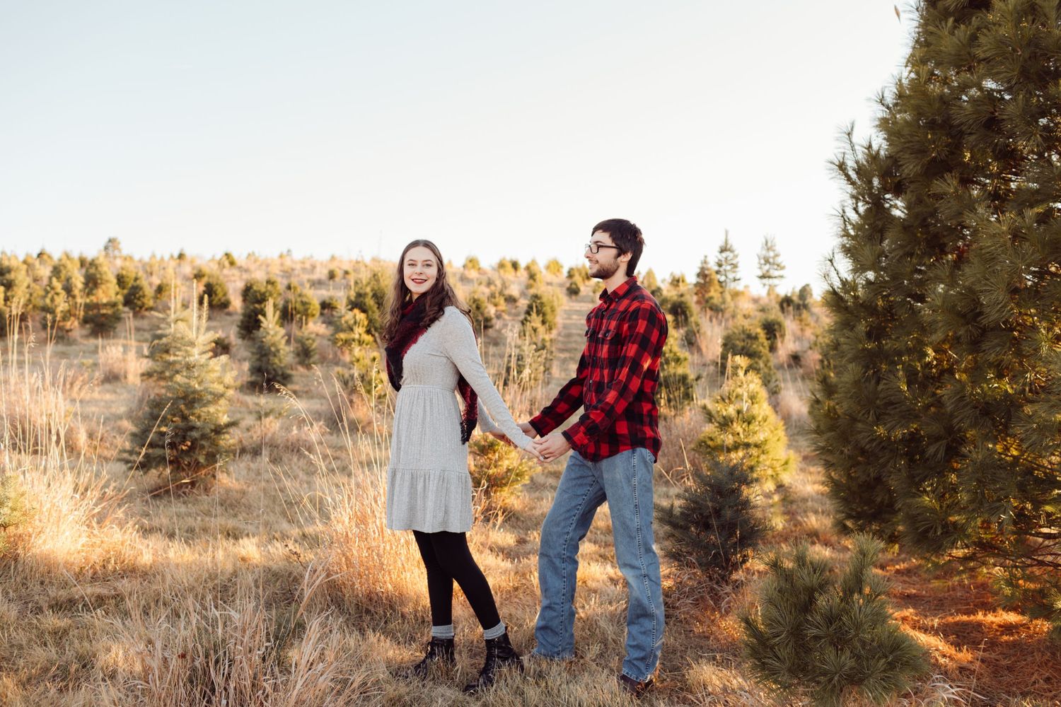 Young couple holding hands and smiling in a Christmas tree farm during golden hour.