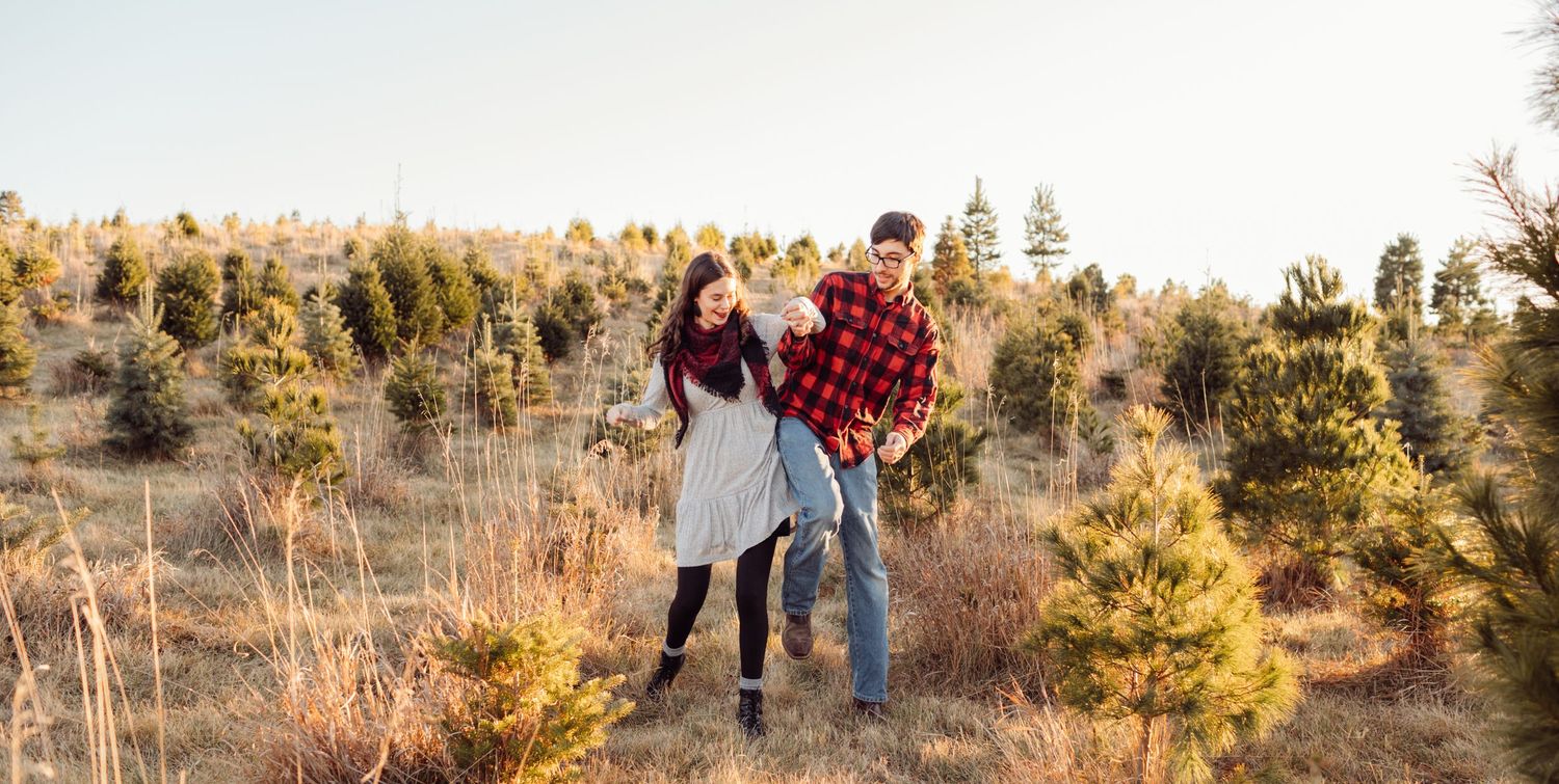 Happy couple embracing and laughing together among rows of pine trees at a tree farm.