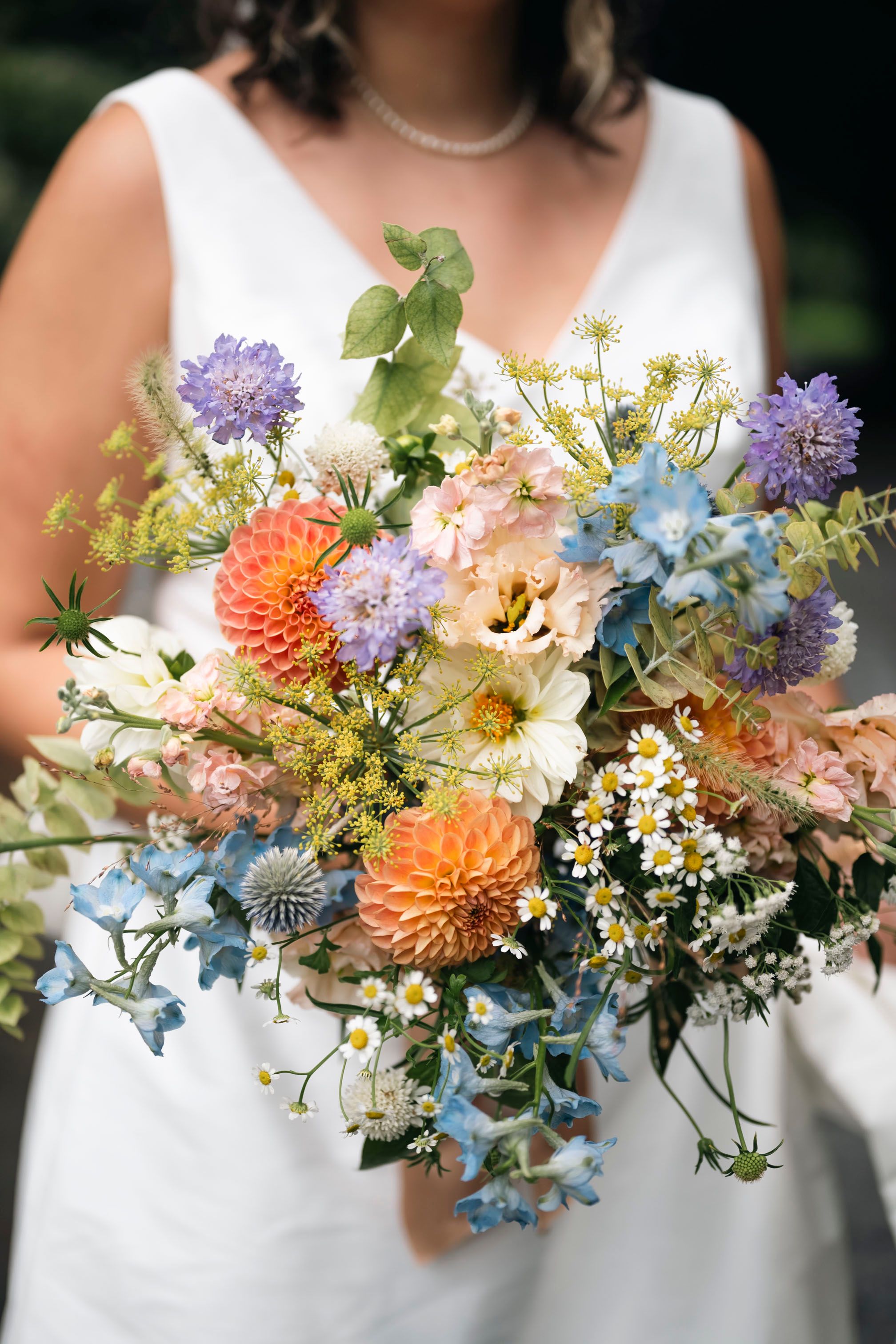 A vibrant wedding bouquet with coral dahlias, purple scabiosa, blue delphinium, and white daisies held against a white dress.