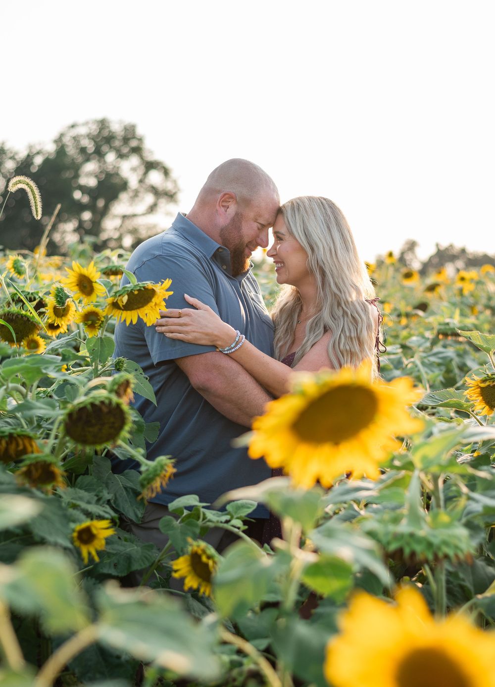 Couple embracing romantically in a sunflower field at golden hour, foreheads touching surrounded by bright yellow blooms.