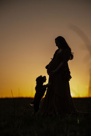 Silhouette of pregnant woman with small dog jumping up at sunset in a golden field.