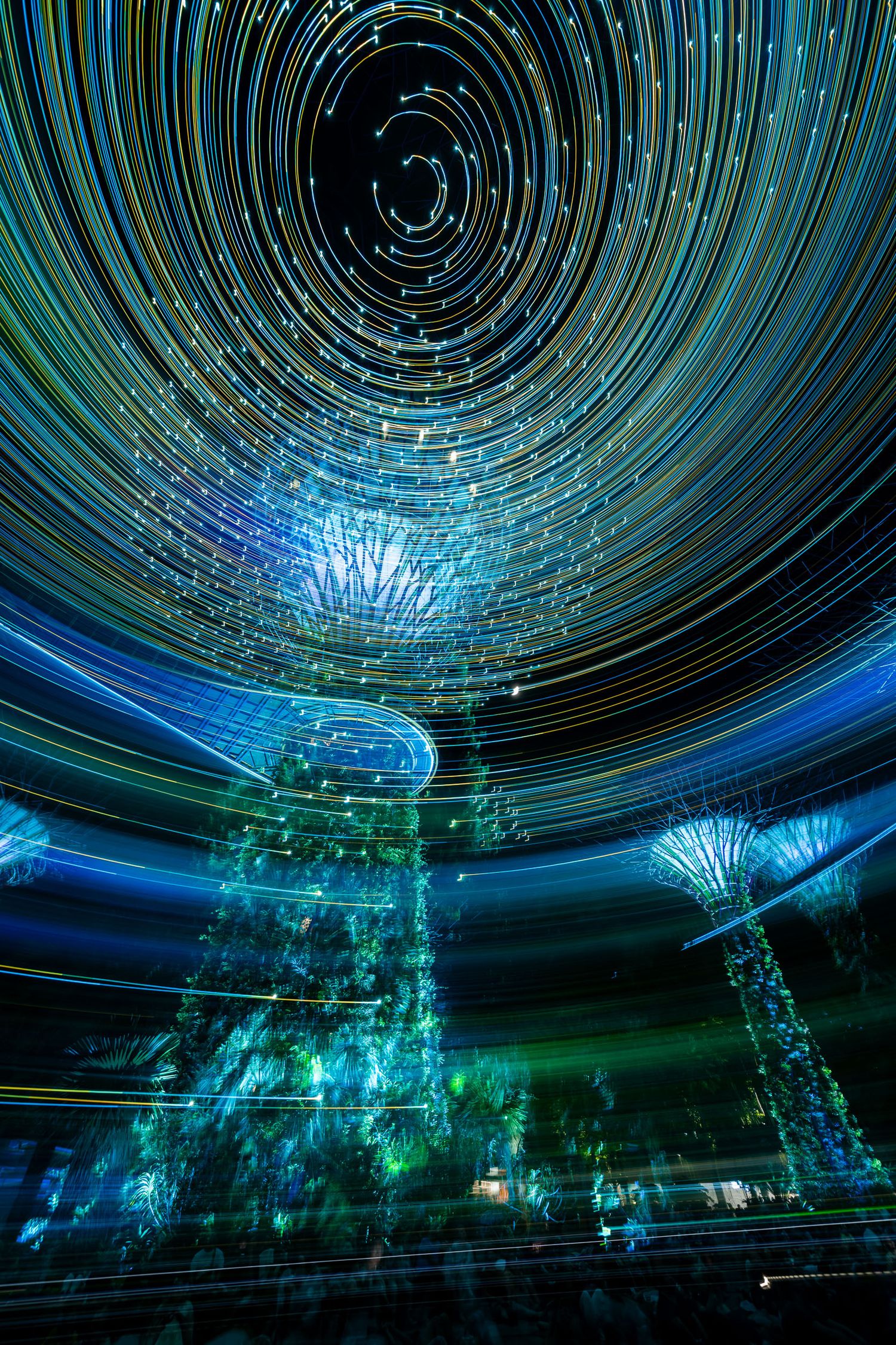 Long exposure night photography of Singapore Gardens by the Bay with swirling star trails and colorful light streaks.