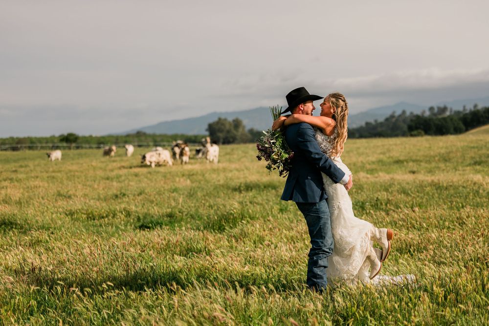 Bride and groom embrace in a lush green field with cattle grazing in the background on their wedding day.