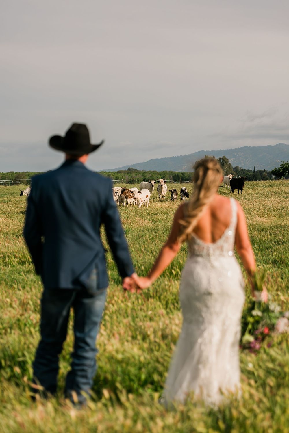 A bride and groom in western attire hold hands in a green field with cattle grazing and mountains in the background.