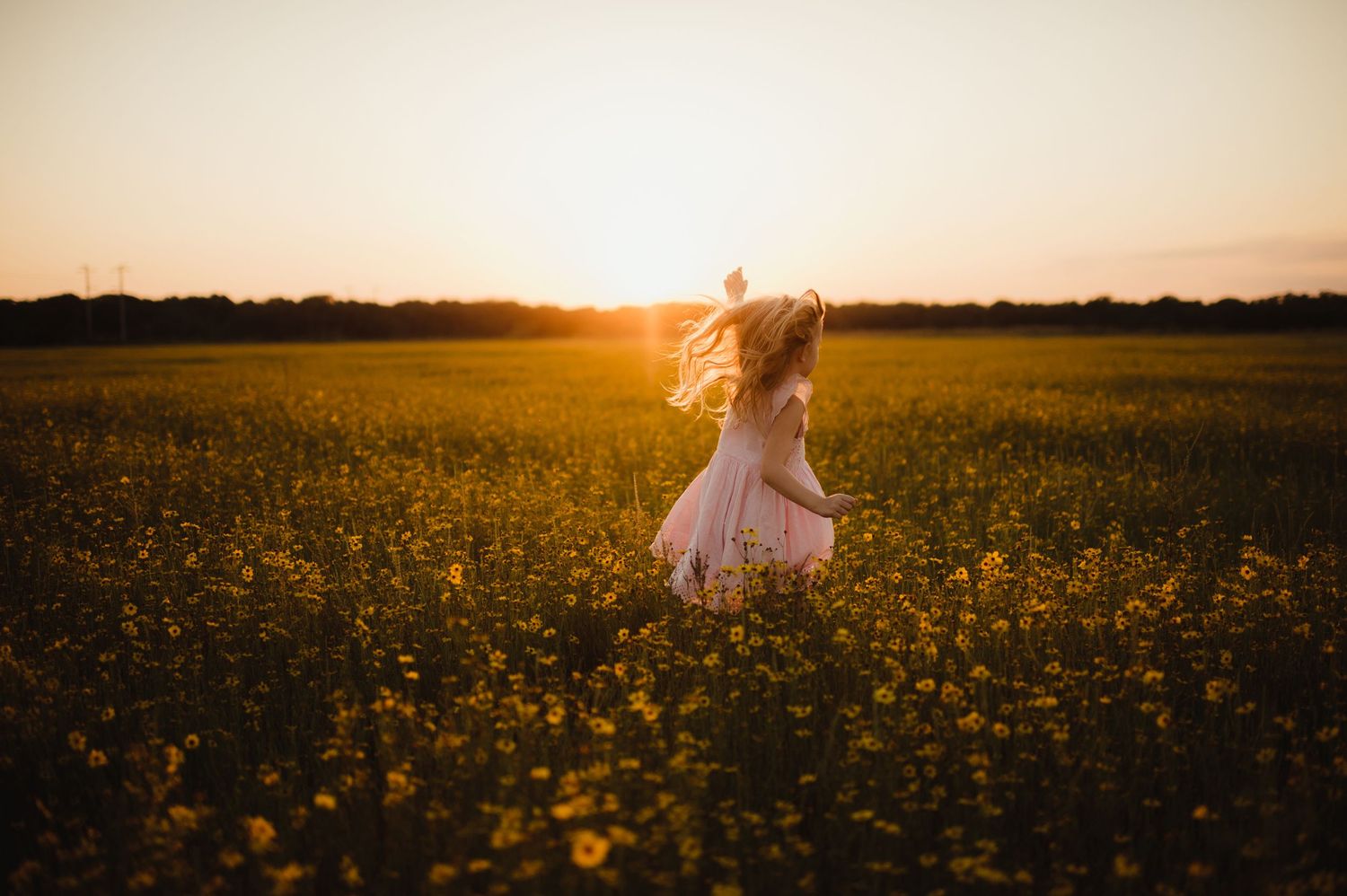 A young girl in a pink dress sits with family in a golden sunlit flower field at sunset.