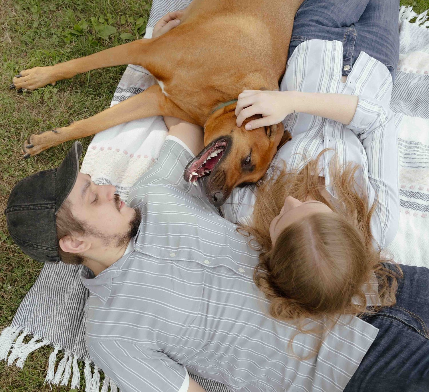 A couple and their brown dog relaxing together on a blanket outdoors, enjoying a sunny day.