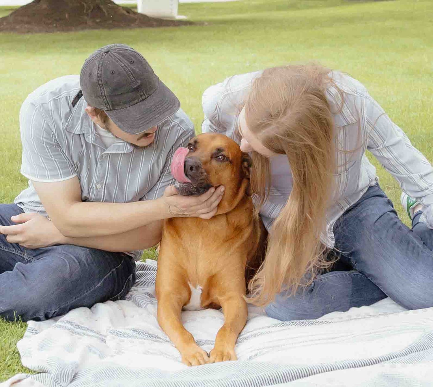 Couple sitting on blanket in grass with brown dog licking their faces on a sunny day.