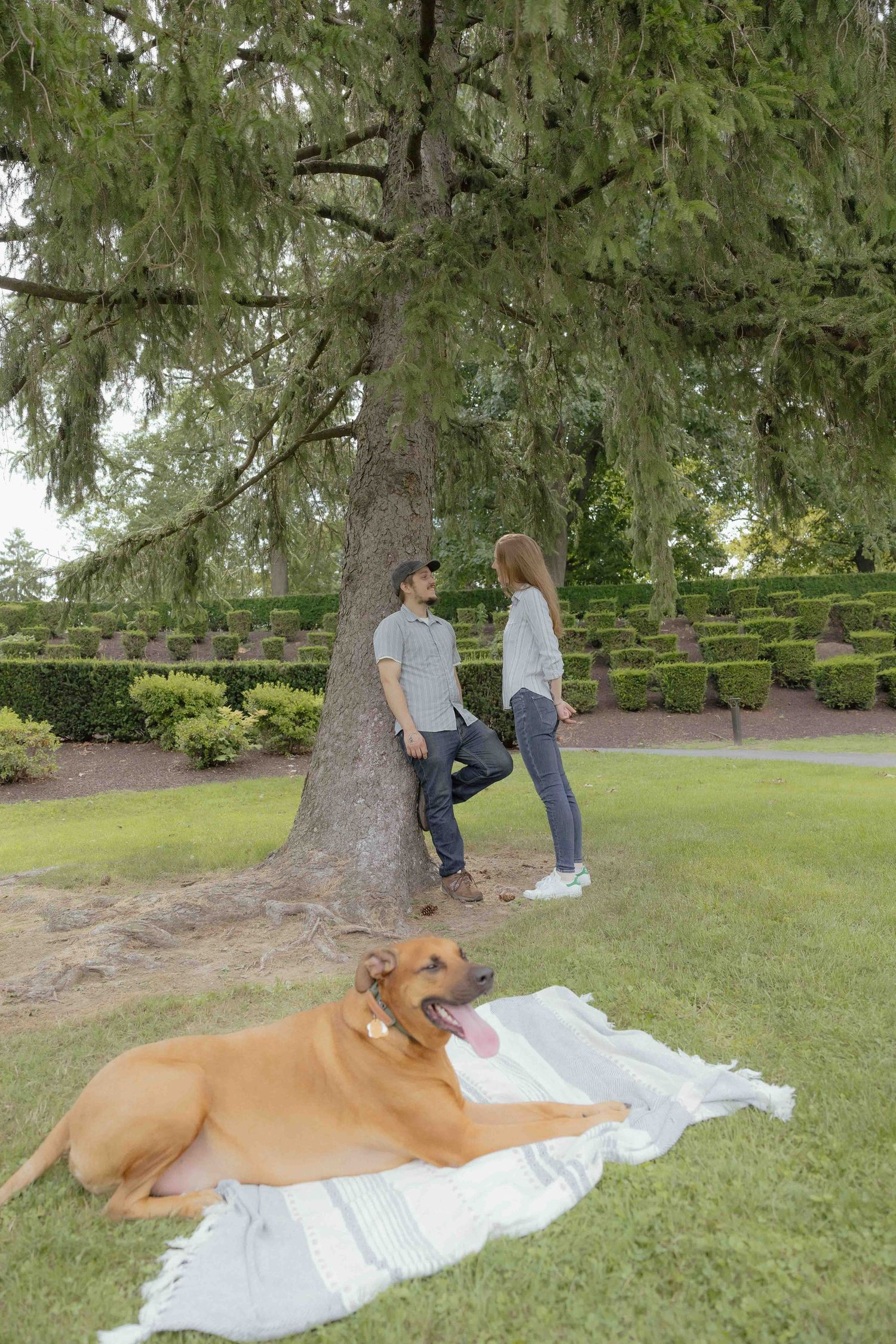Couple talking under a large tree in a park with a happy brown dog resting on a blanket in the foreground.