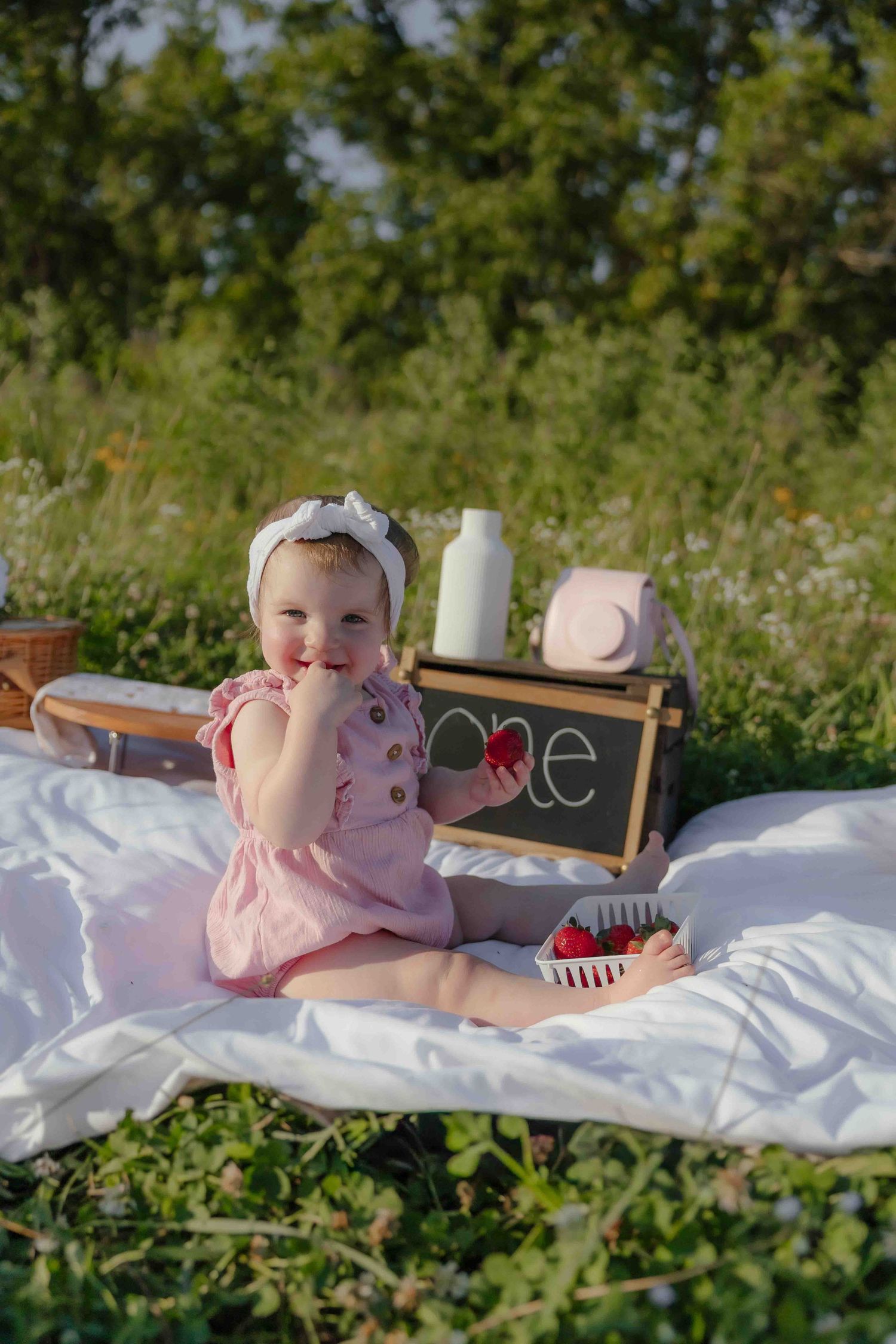 Adorable baby girl in pink romper sitting on white blanket outdoors at picnic with chalkboard sign reading one.