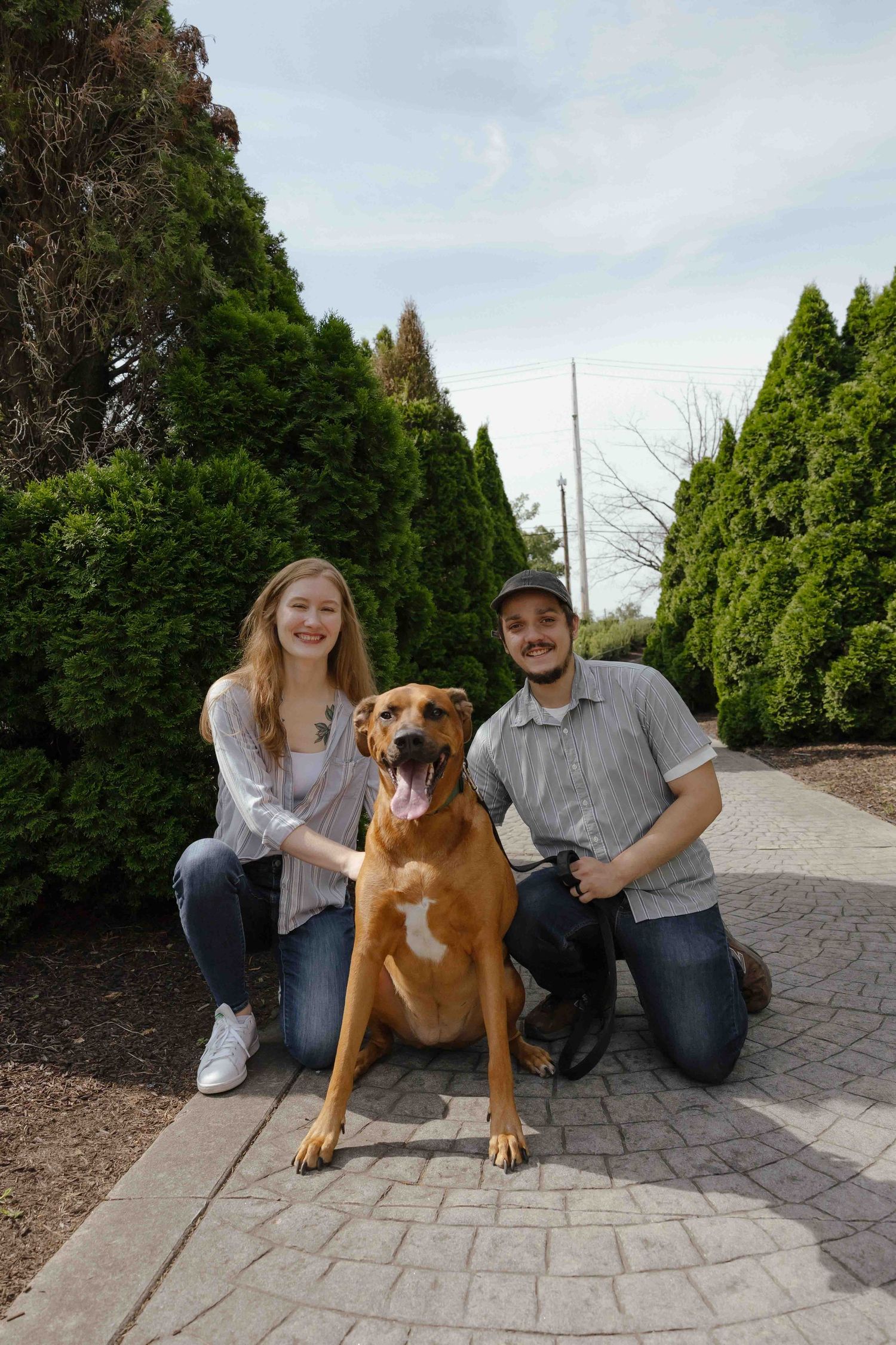 A smiling couple kneels on a brick path with their happy brown dog between them, surrounded by lush green trees.