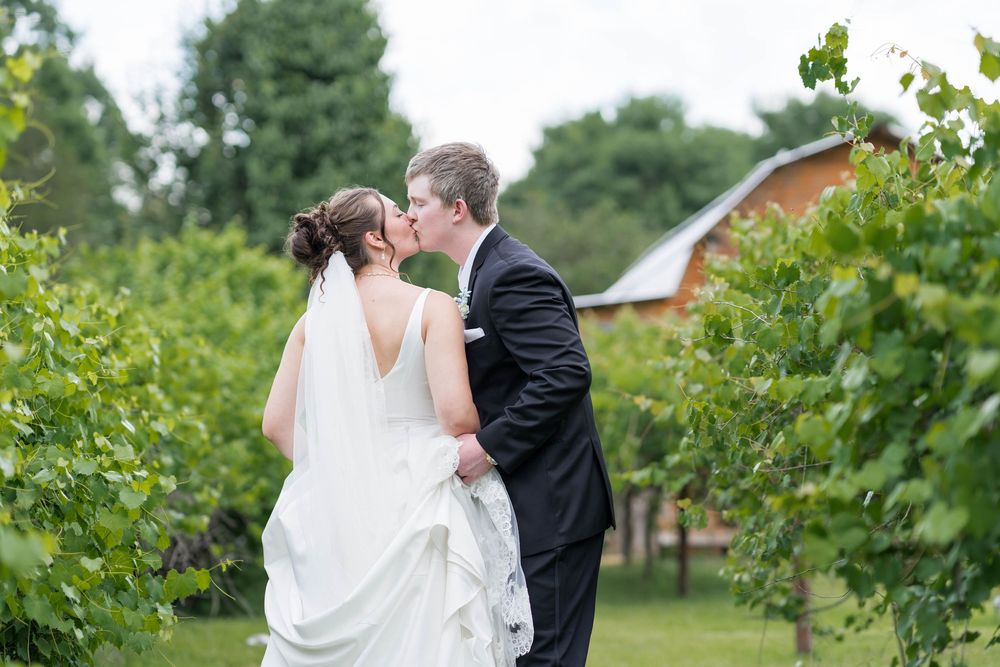 Bride and groom share a romantic kiss among lush vineyard rows, with a red barn visible in the background.