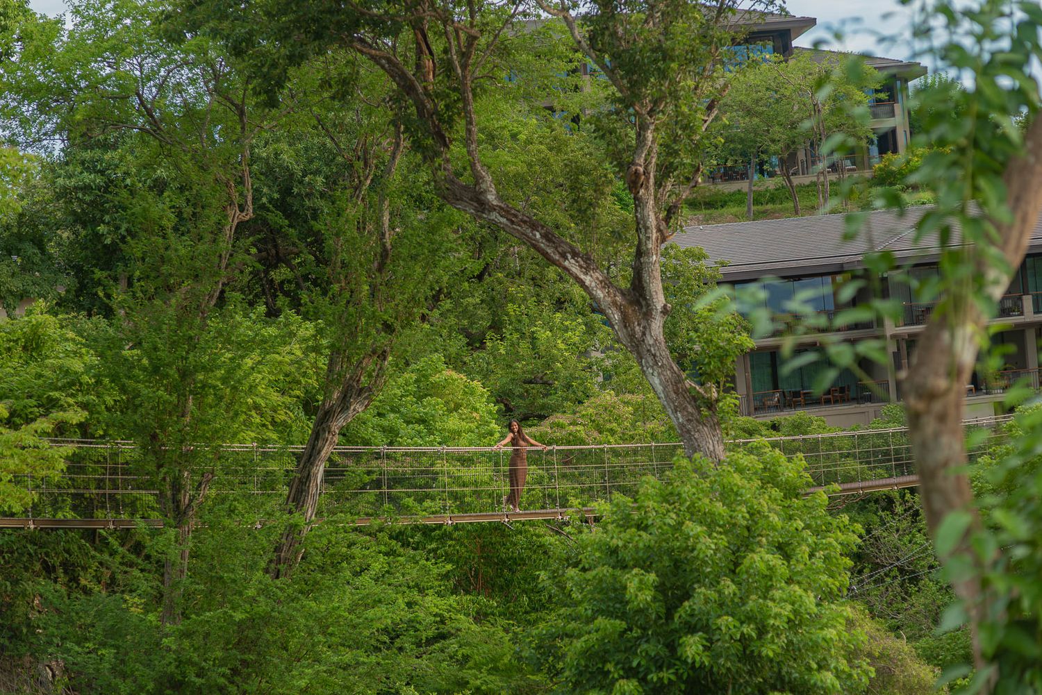 Person standing on a suspension bridge surrounded by lush green trees near a building.