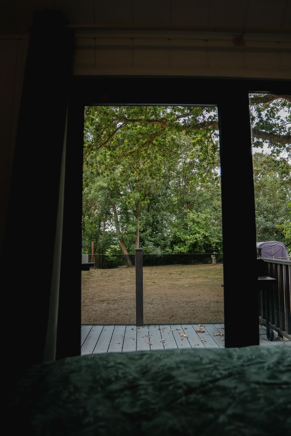 View through a dark-framed glass door to a lush green backyard with trees and a wooden deck.