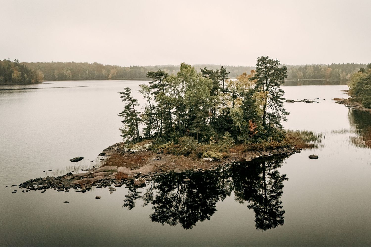 Dronefotografi af lille skovklædt ø i Sverige – nordisk naturfotografi som fotoplakat og kunstprint.