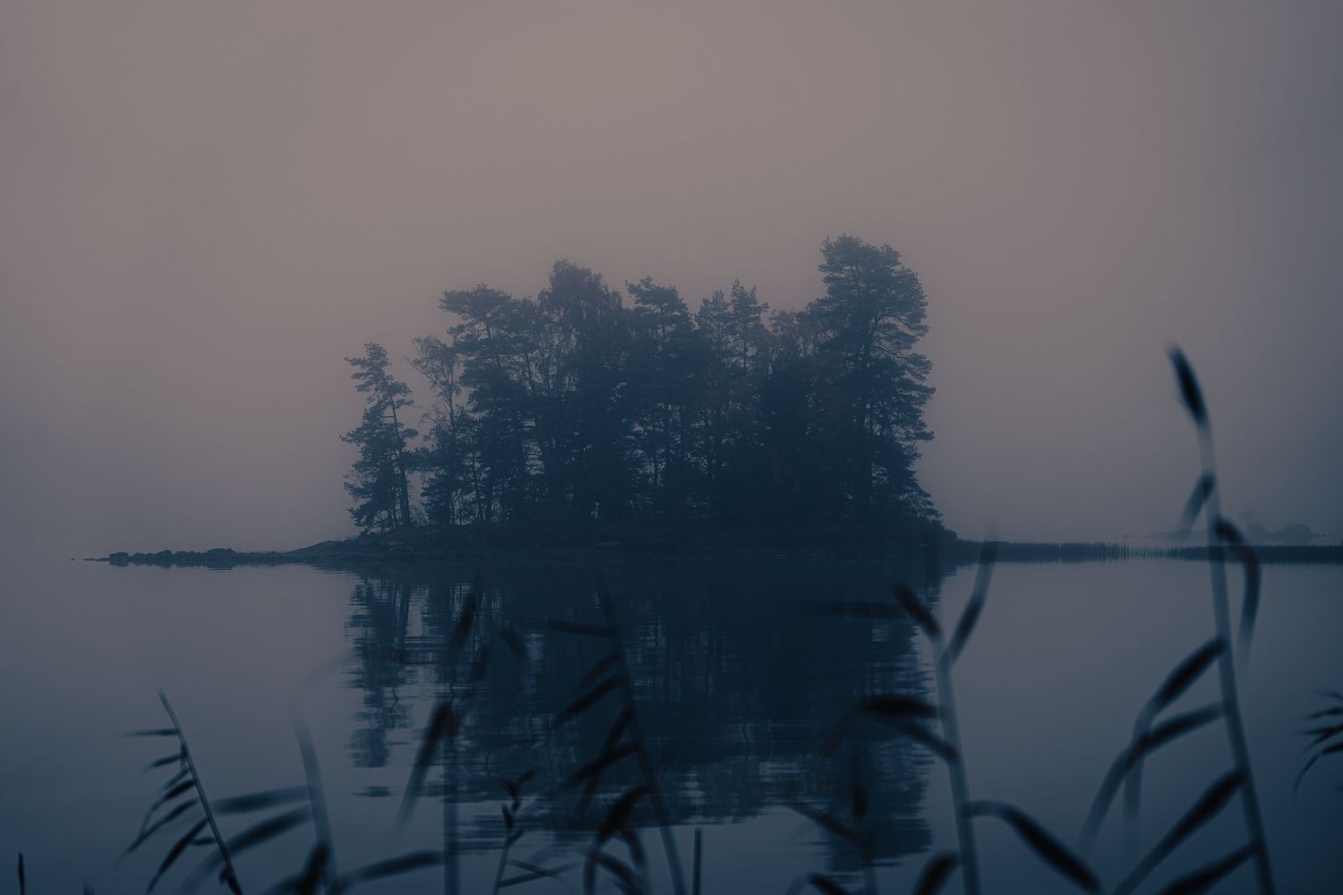 Stemningsfuldt naturfotografi af lille ø i tåge – rolig nordisk fotokunst og naturplakat til væggen.