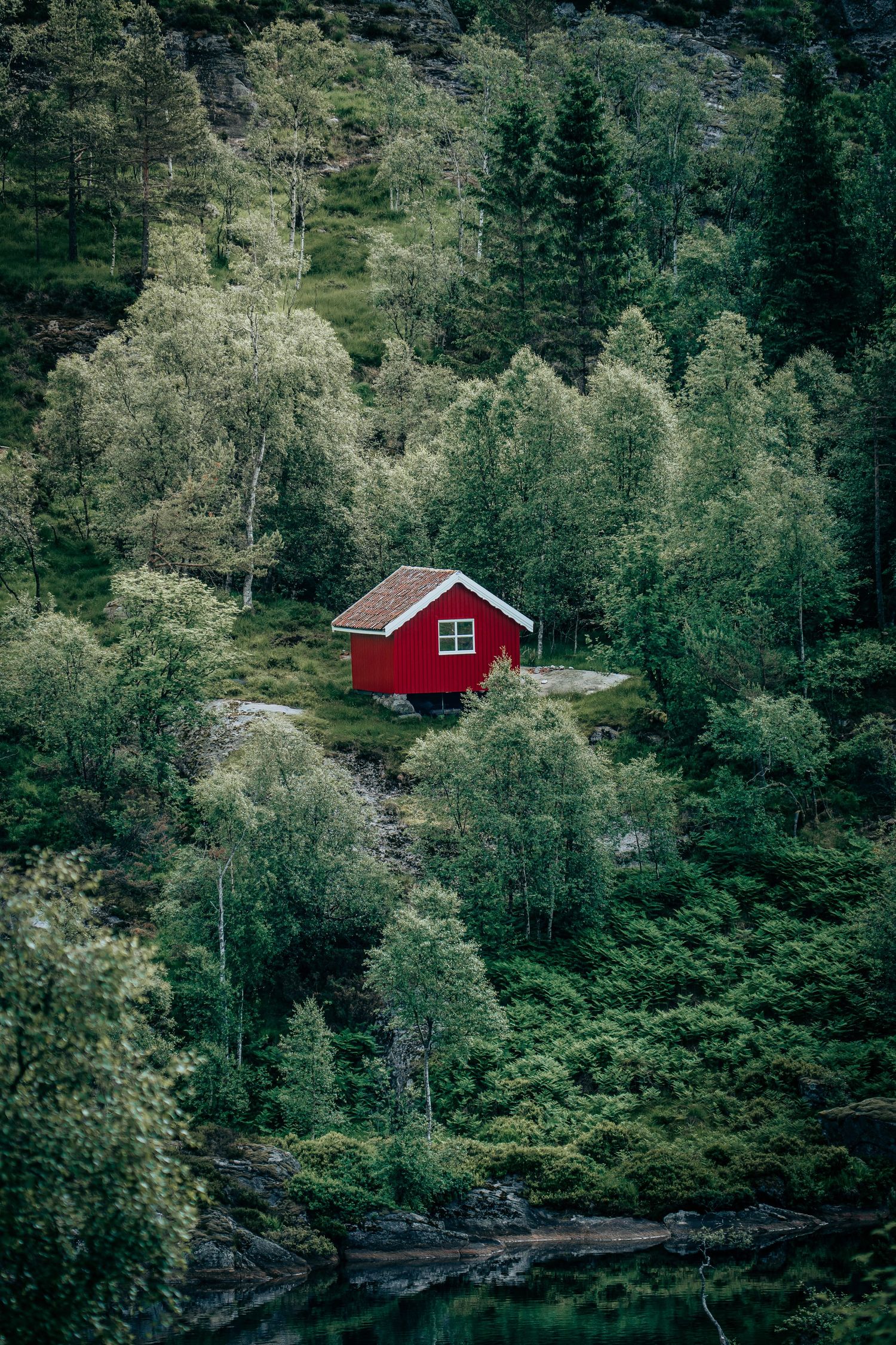 Lille rødt hus omgivet af frodig grøn natur – nordisk landskabsfotografi som fotokunst og plakat.