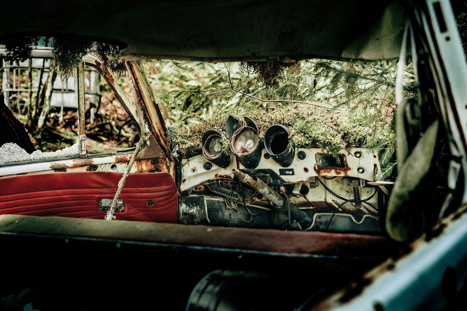 Detaljefotografi af interiøret i en forladt bil med mos og rust – unik fotokunst og kunstprint til væggen.