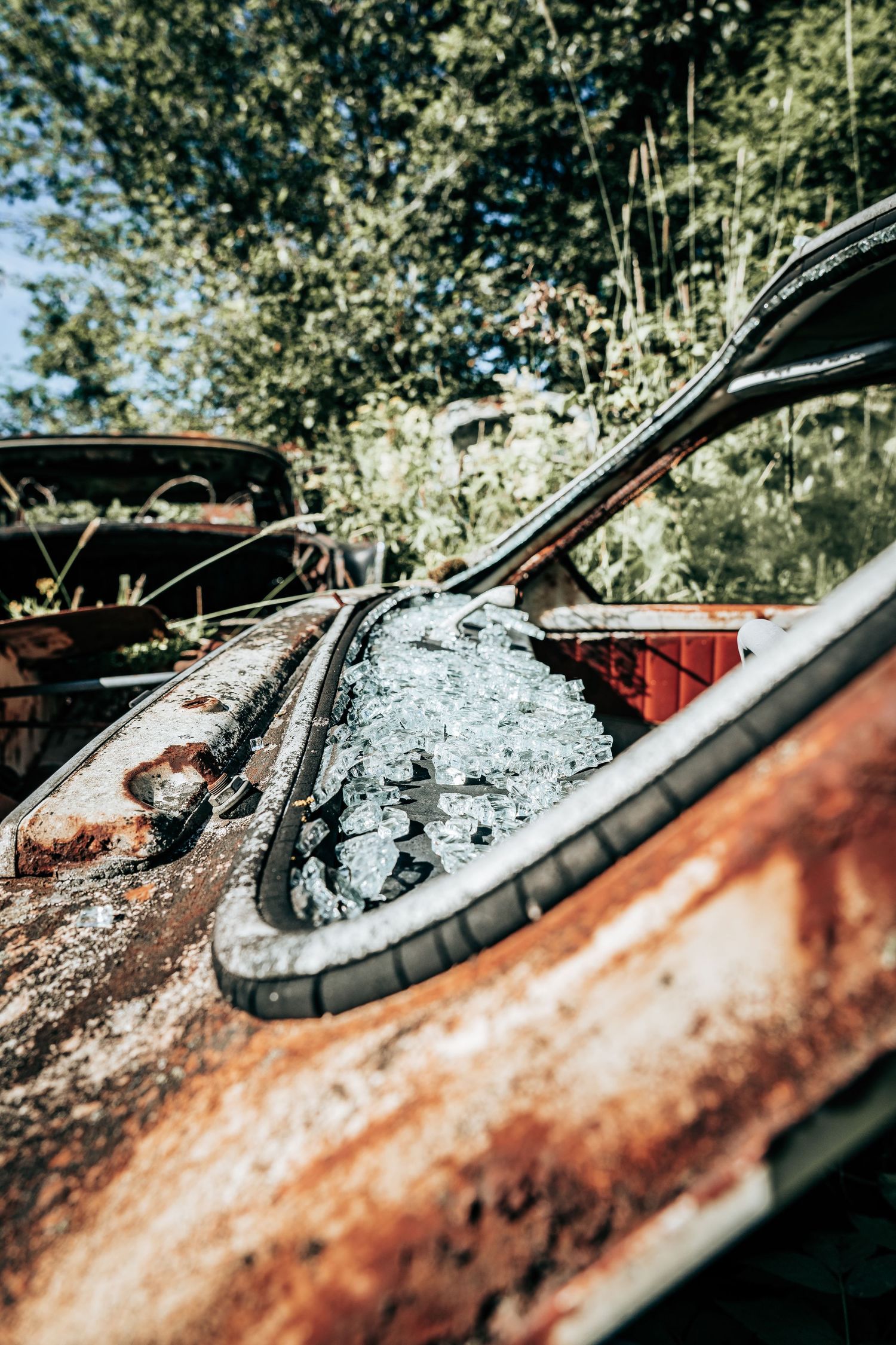 Detaljefotografi af rusten gammel bil i naturen – rå fotokunst og stemningsfuldt kunstprint.