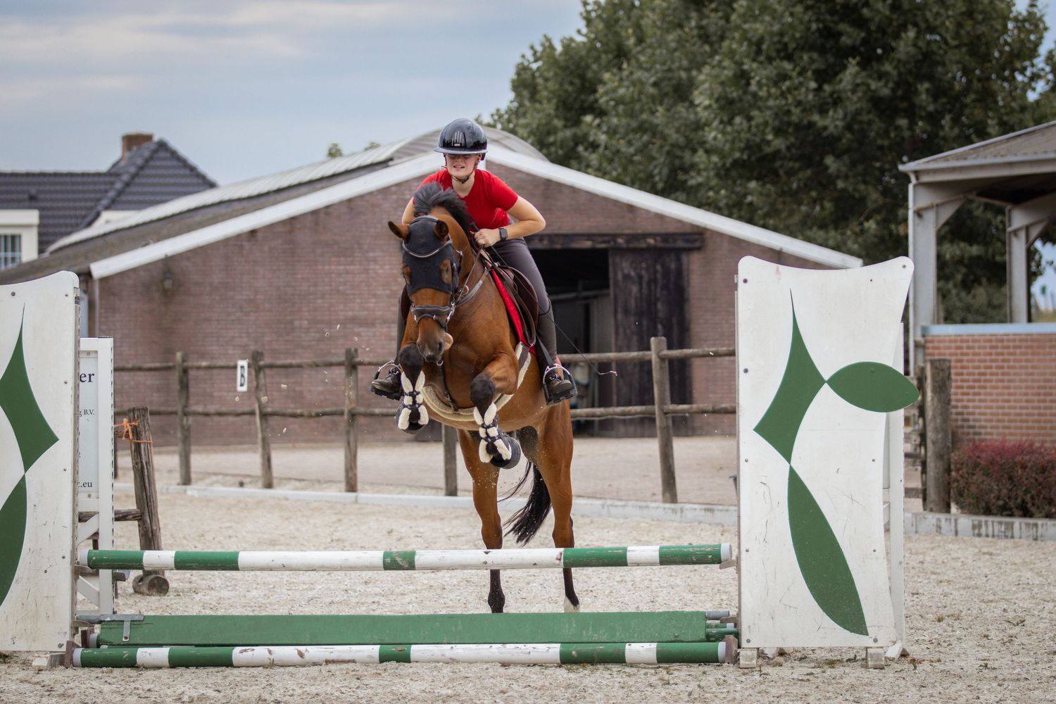 Ruiter met cap springt op een bruin paard over een groen-witte hindernis op een buitenrijbaan.